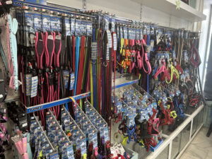 Huge action of leashes and harnesses