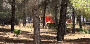 Fire teams successful nan forest.