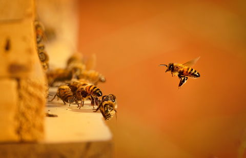 Young Crew Member Murdered: 20-Year-Old Horror Unfolds
