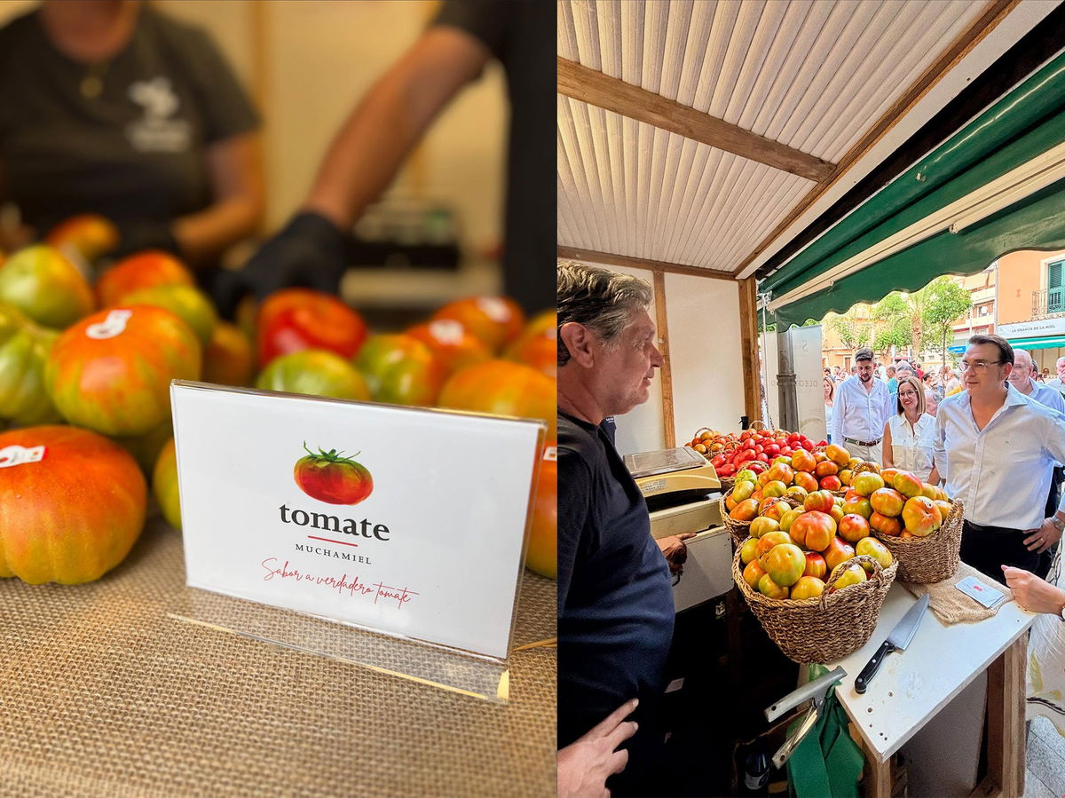 Gastronomy and tradition come together at Mutxamel’s annual tomato event
