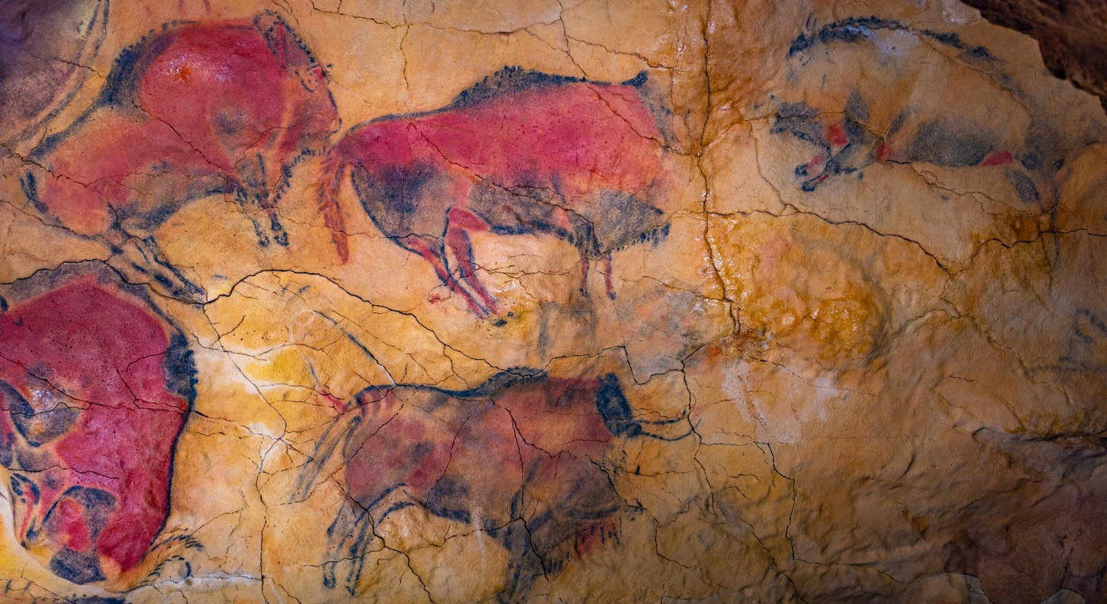 Banksy, Boffins & Blistering Sunburn!