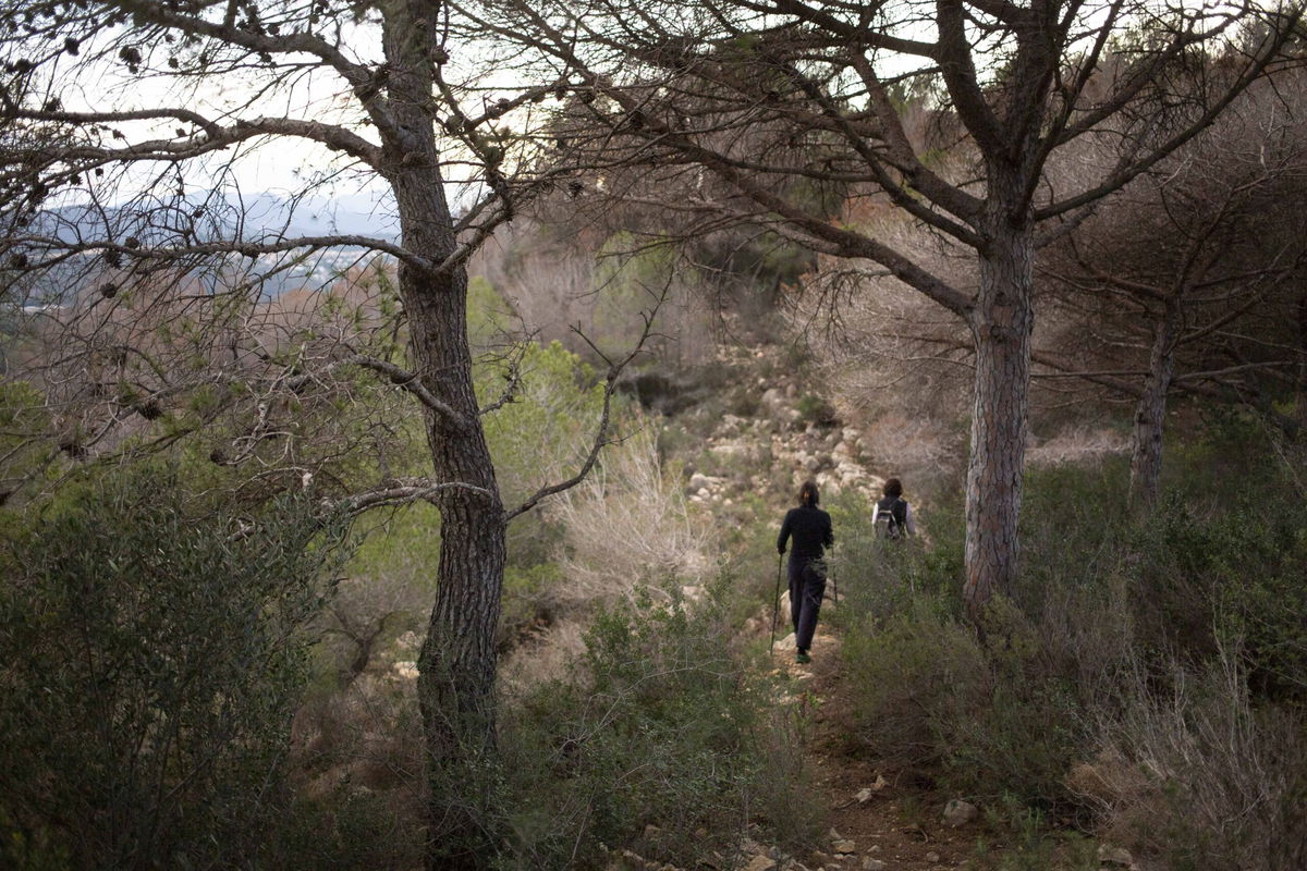 Ban on hiking or crossing forest paths due to wildfire risk