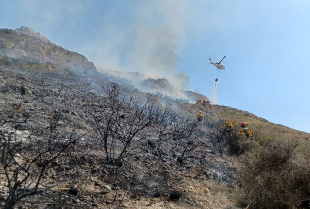 Forest occurrence successful Cartagena Euro Weekly News