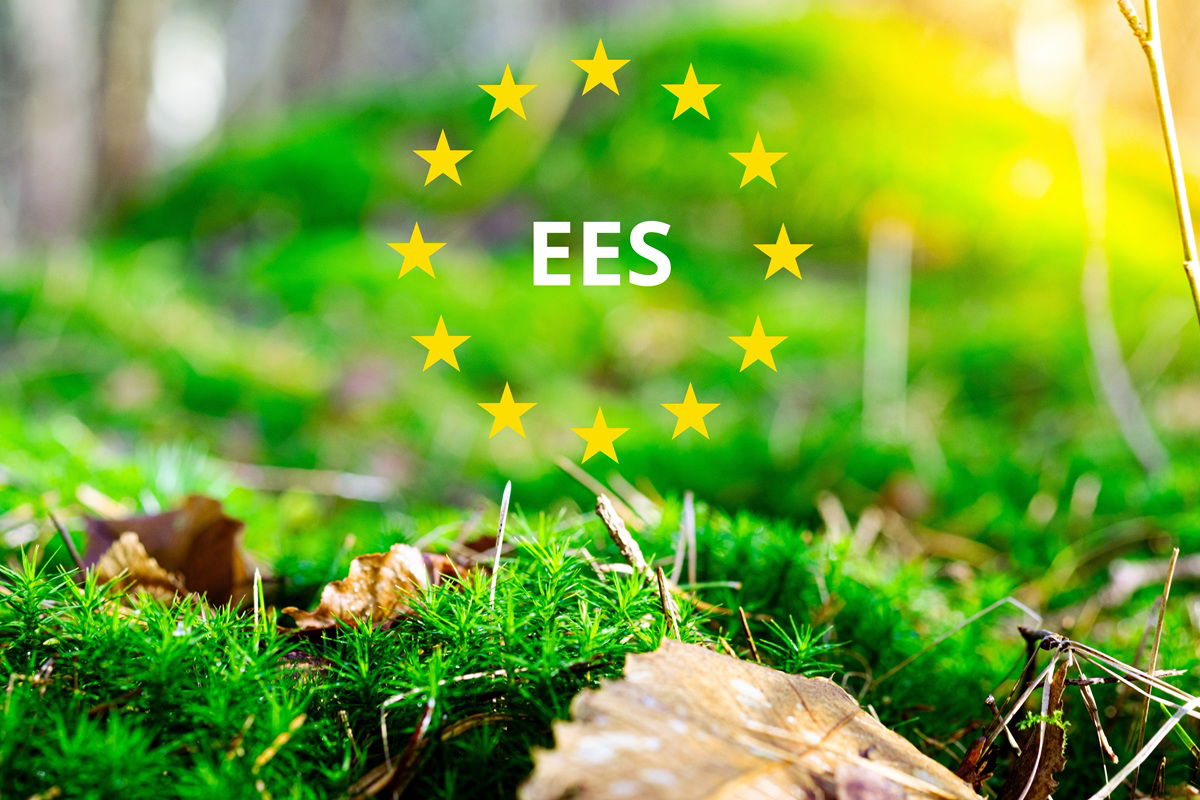 EES 2025: who is exempt from EU border checks\” />