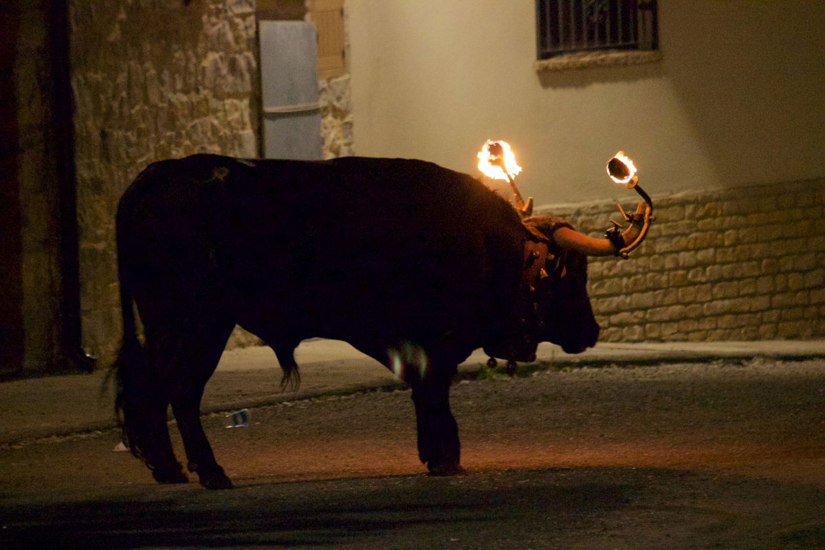 Benidoleig gets into festive spirit with patron saint celebrations