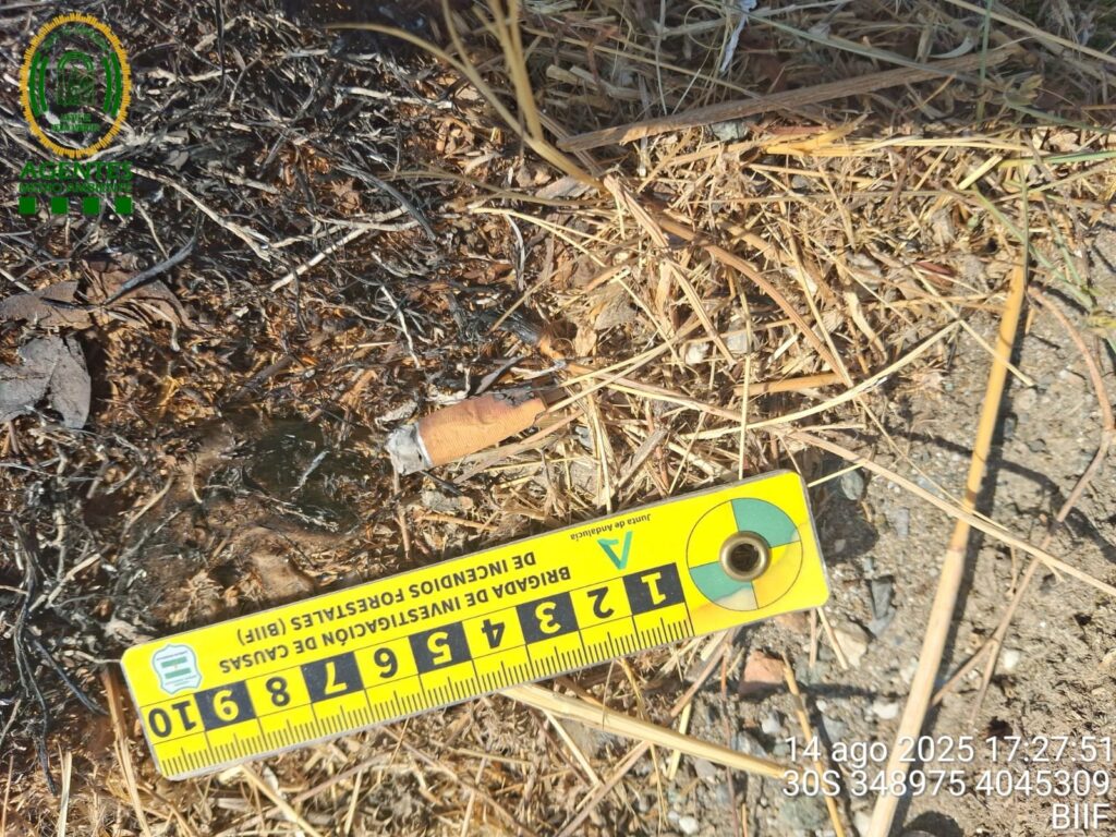 Cigarette butt recovered astatine nan starting constituent of nan fire.