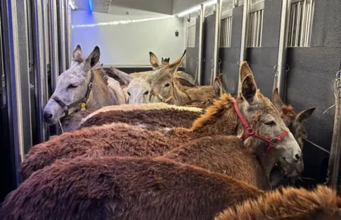 Hundreds of thousands of Israelis demand a hostage deal with Hamas