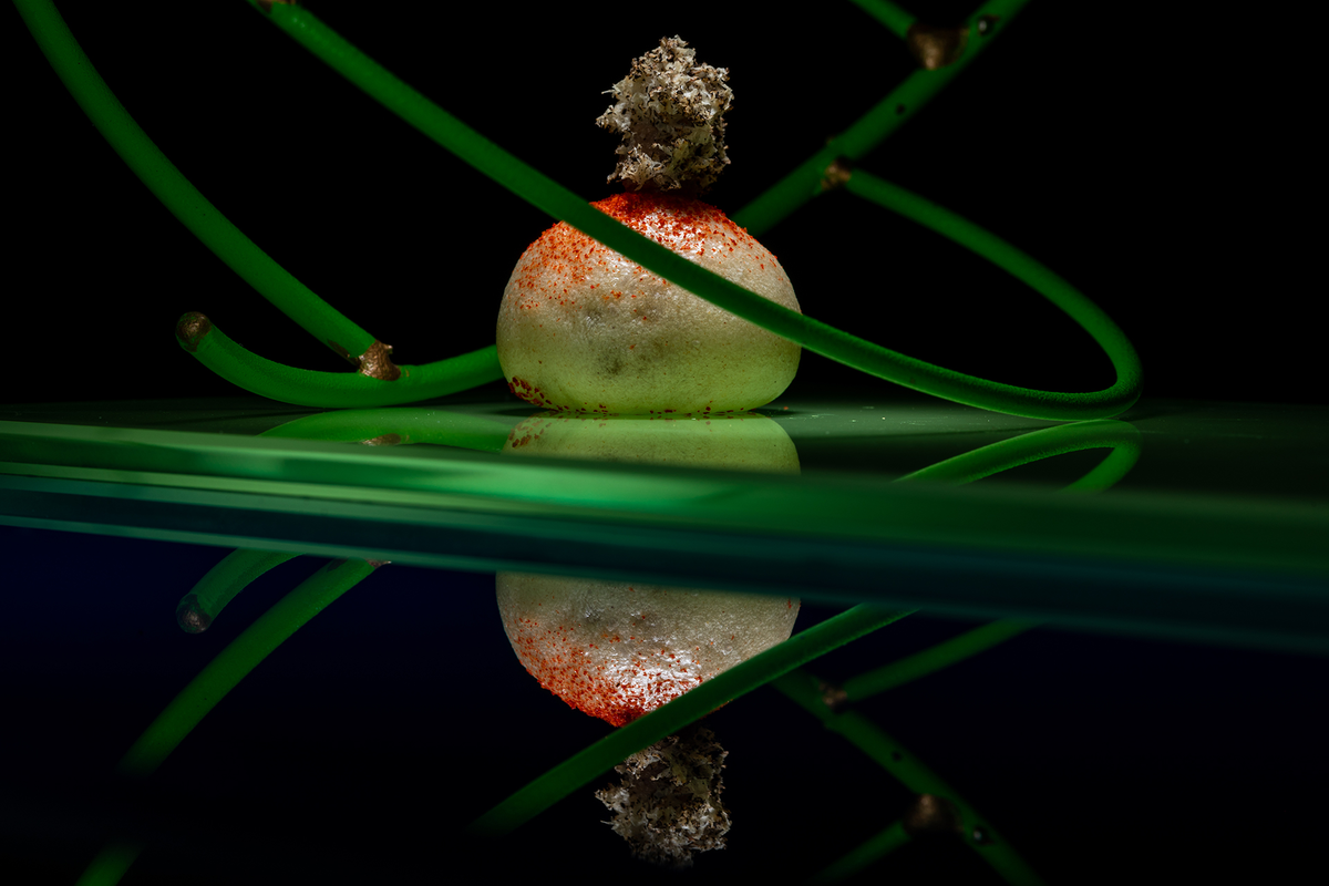 VORO, the only in Mallorca with two Michelin stars