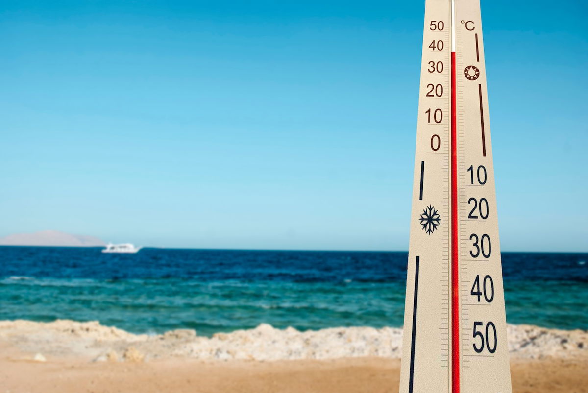 Spain’s Mediterranean water temperatures soar, jellyfish warnings grow
