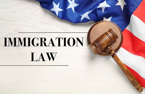 US scrutinises 55 million visas checking for violations