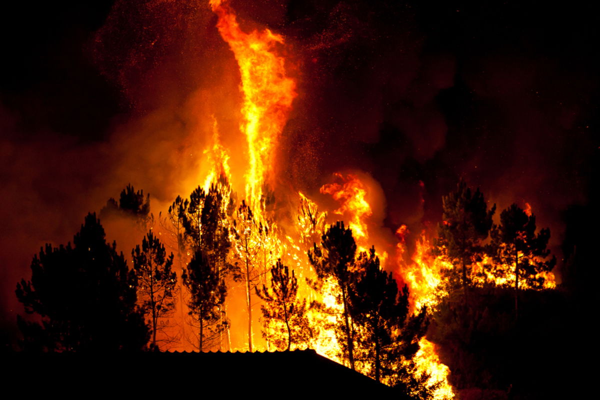Portugal wildfires burn 54,500 hectares in one week: Tourism centre pledges support