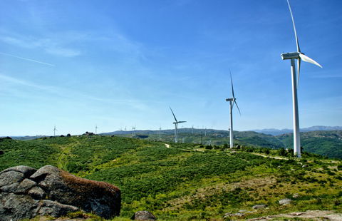Portugal airports hit by August workers walkouts