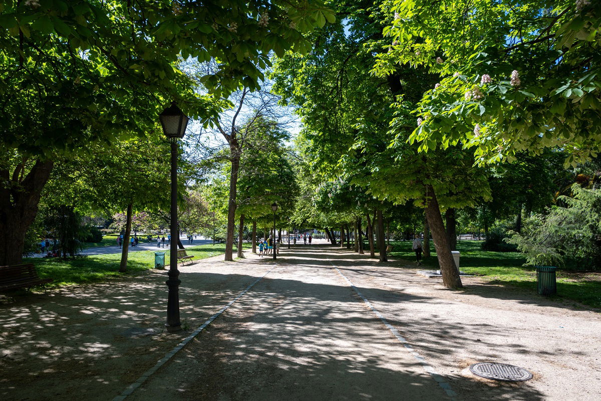 41°C or 38°C? The Madrid postcode where a row of trees changes everything