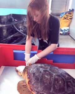 Girl treating injured oversea turtle