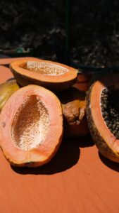 The marketplace offers a unsocial acquisition for anyone seeking fresh, value nutrient and section crafts