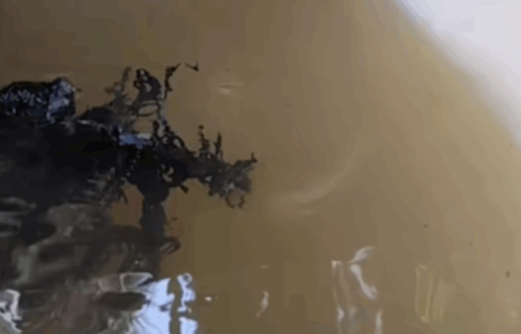 Kin releases a video of nan meteorite supposedly swimming