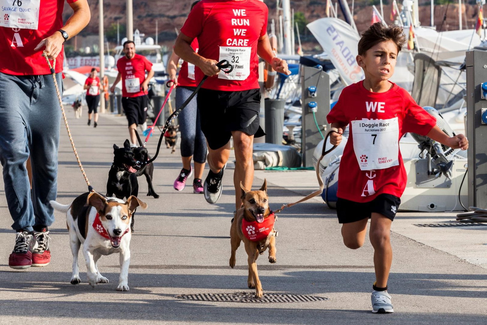A Doggy Race for the whole family « Euro Weekly News