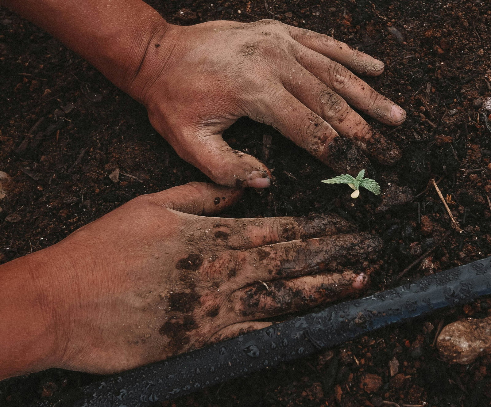 Alicante boasts cleaner, greener classrooms « Euro Weekly News