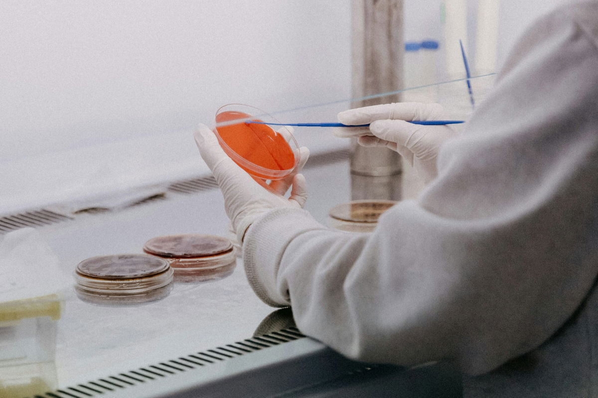 Barcelona researchers discover obesity-treating protein