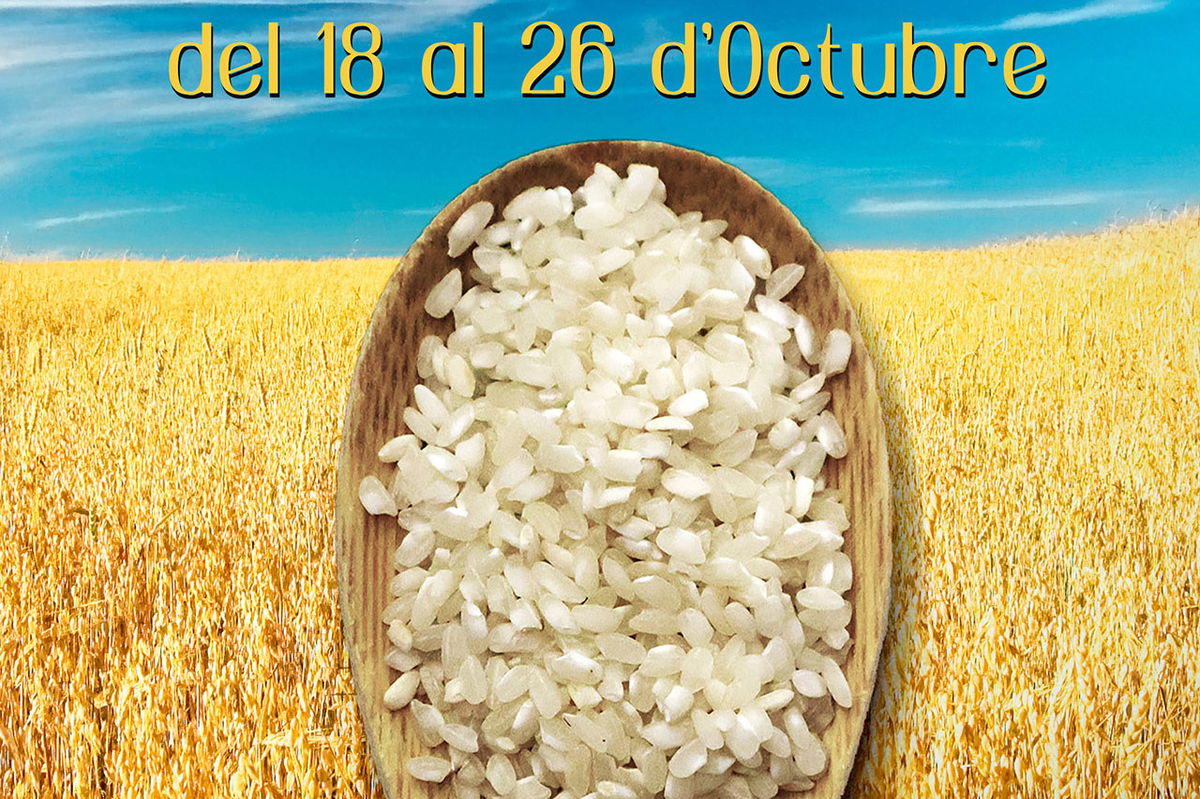 Celebrate Spanish cuisine with a feast of Bomba and Bombón rice dishes