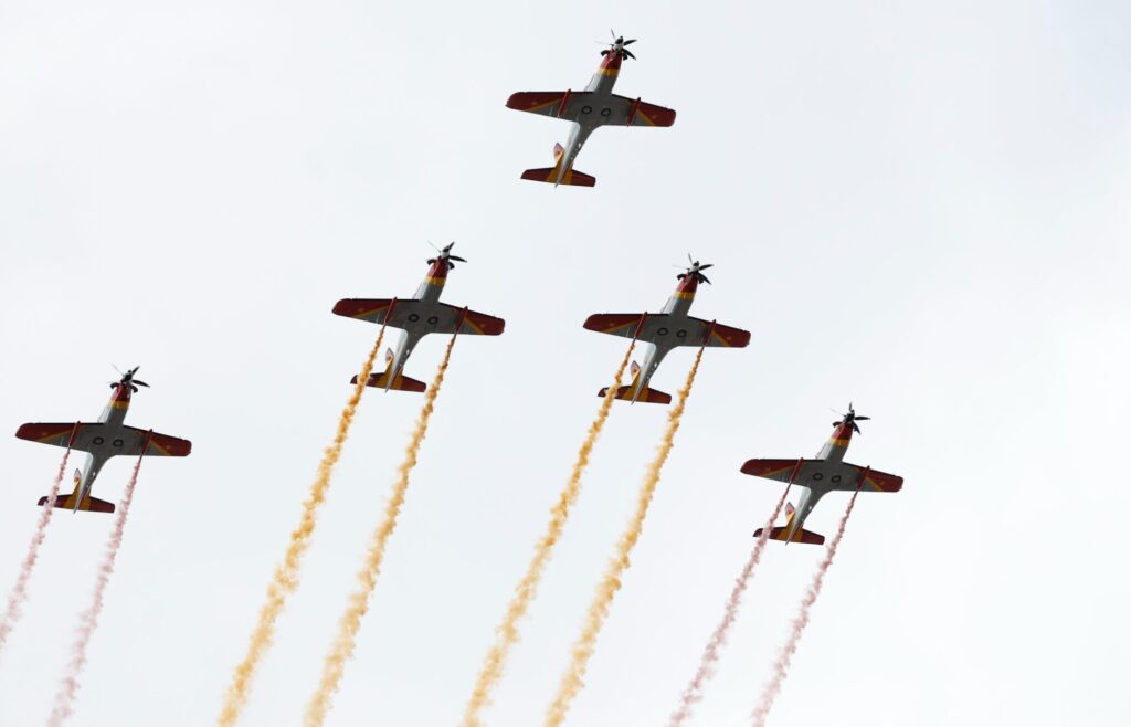 Flypast salutes king.