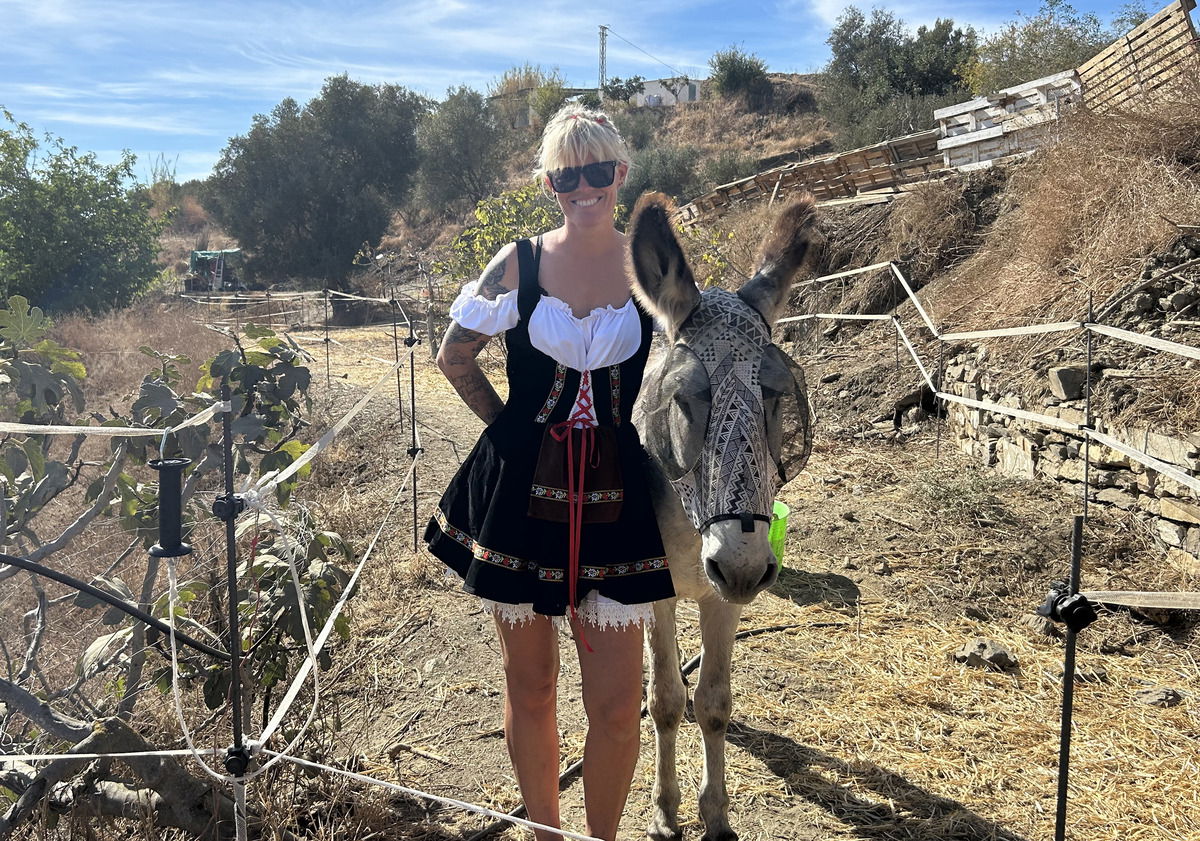 Donkey Dreamland hosts Oktoberfest fundraiser amid partial closure