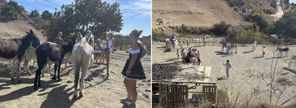 Donkey Dreamland hosts Oktoberfest fundraiser amid partial closure
Euro Weekly News