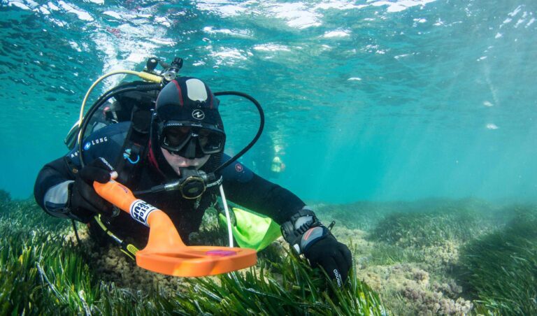 Award shines light on Murcia’s fight against ocean pollution