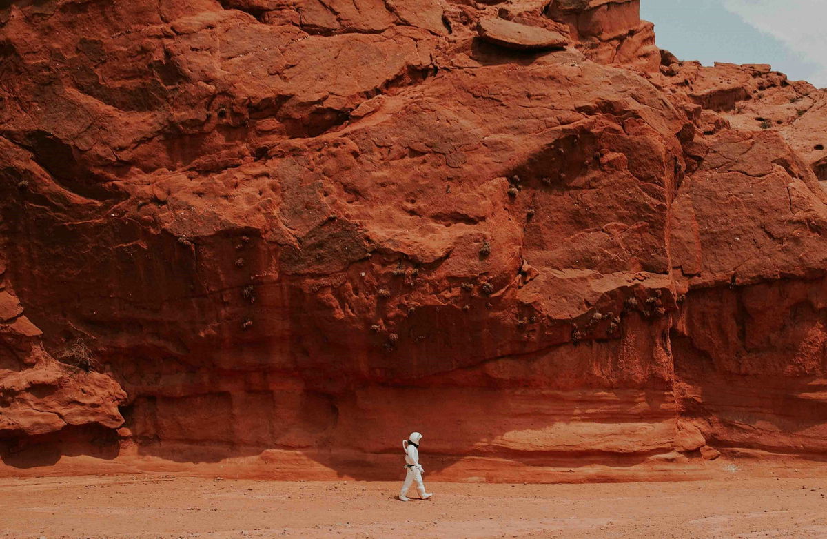 Spanish scientists explore plant survival on Mars