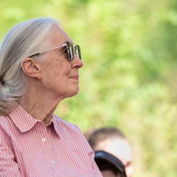 The late Jane Goodall.