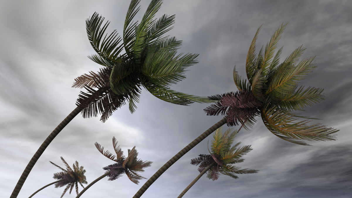 Hurricane Melissa, Strongest Storm Of 2025, Due To Hit Jamaica With Winds Of 280 Kph Hurricane Melissa, Strongest Storm Of 2025, Due To Hit Jamaica With Winds Of 280 Kph