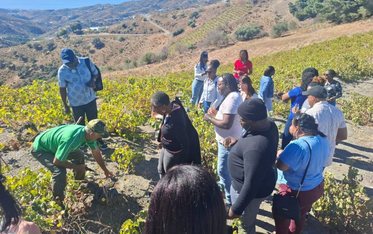 Caribbean Delegates Get A Taste Of Axarquia’s Finest Caribbean Delegates Get A Taste Of Axarquia’s Finest