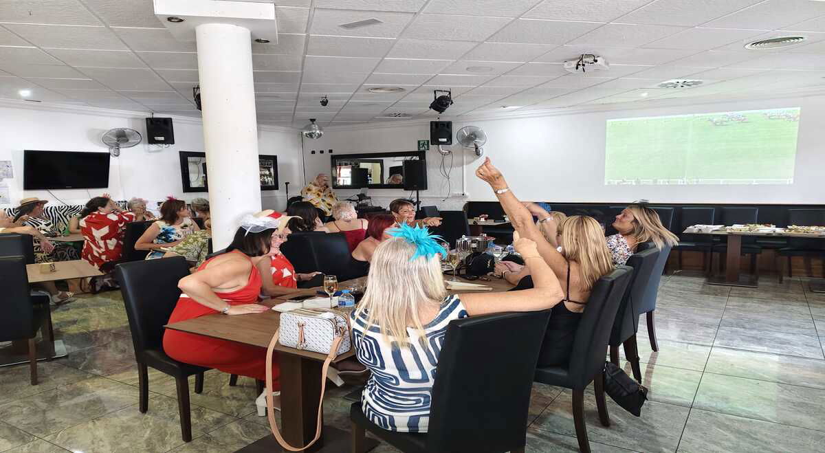 Live Music And Dining At Rj’s Bar & Food In San Miguel De Salinas