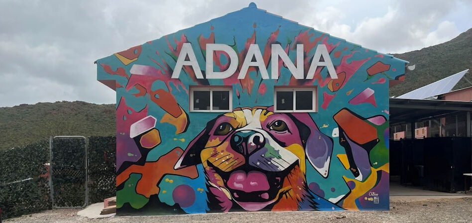 ADANA launches two major Christmas fundraisers in Estepona