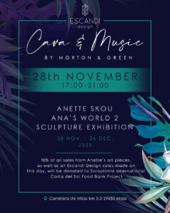 Infograph for "Ana's World II" exhibition