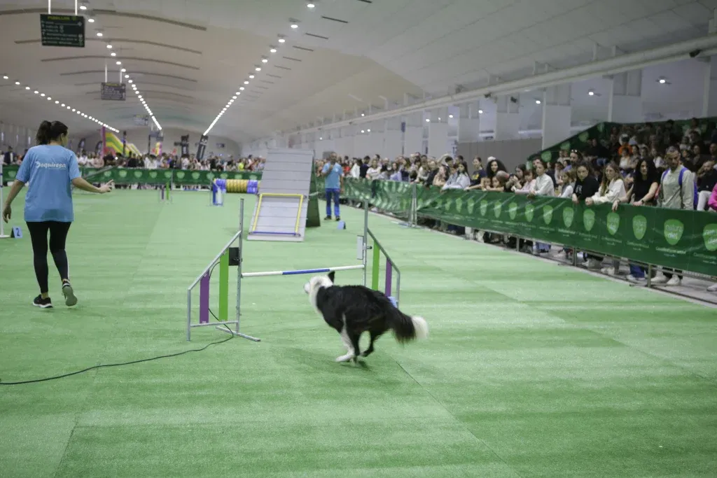 IFEPA Torre Pacheco, Murcia Pet Weekend Euro Weekly News