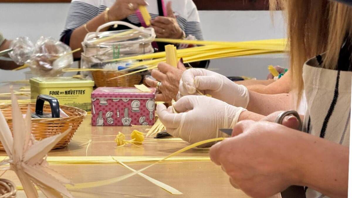 Palma Blanca workshops begin at Elche’s Museum of Palm Groves