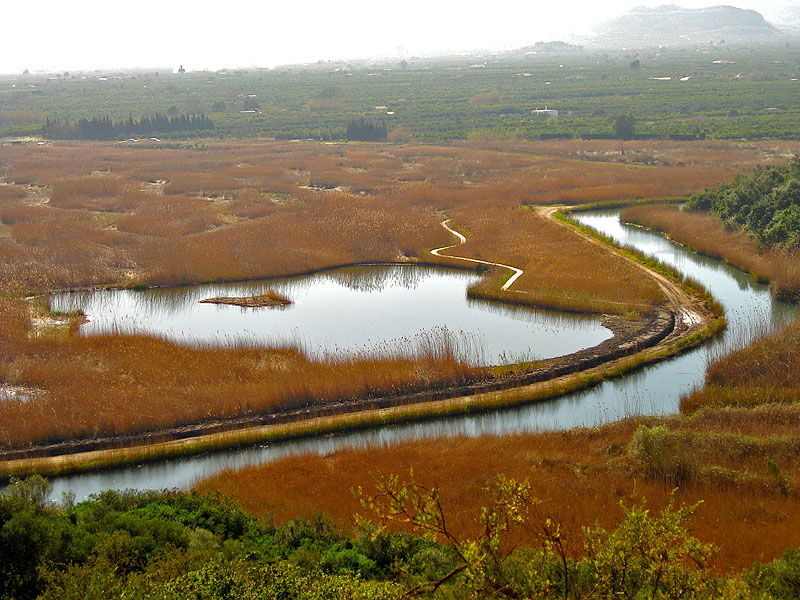 New Joint Strategy Aims To Reduce Flood Risk In The Pego-oliva Nature Reserve