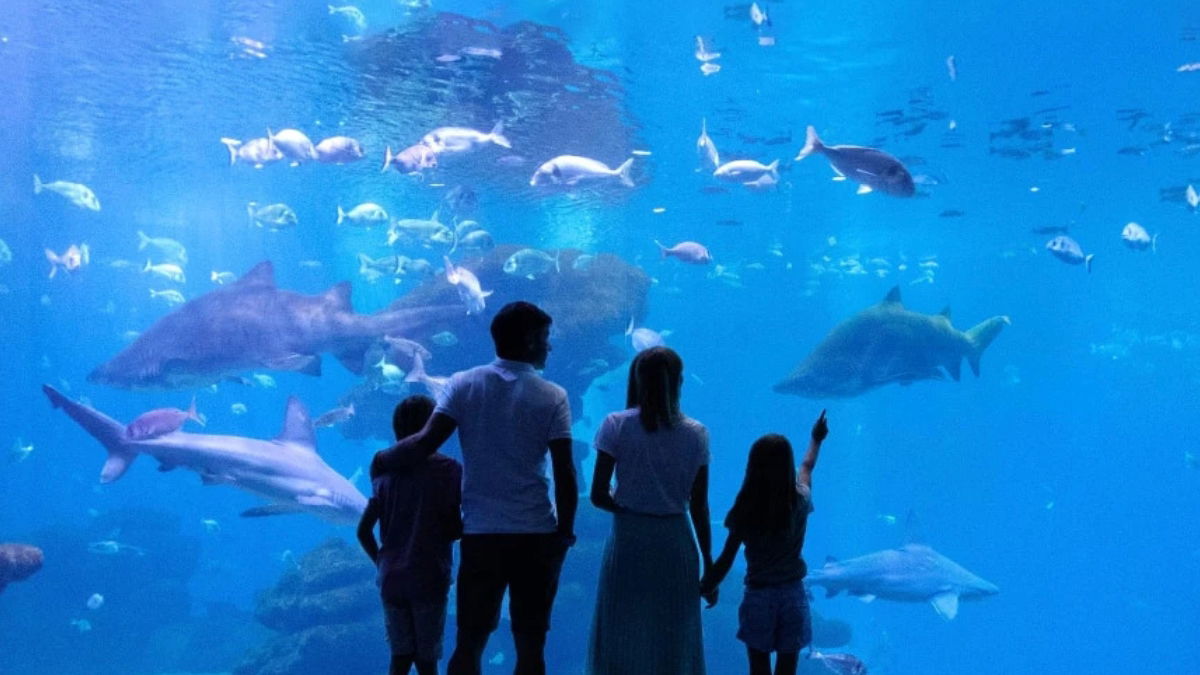 Yo También Charity Gala Returns To Palma Aquarium In Support Of Aspanob