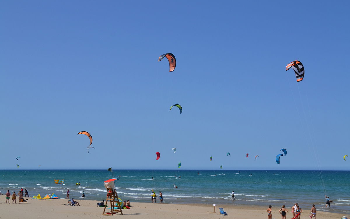 Volunteers Transform Denia’s Coastline In Major Clean-up And Dune Protection Drive
