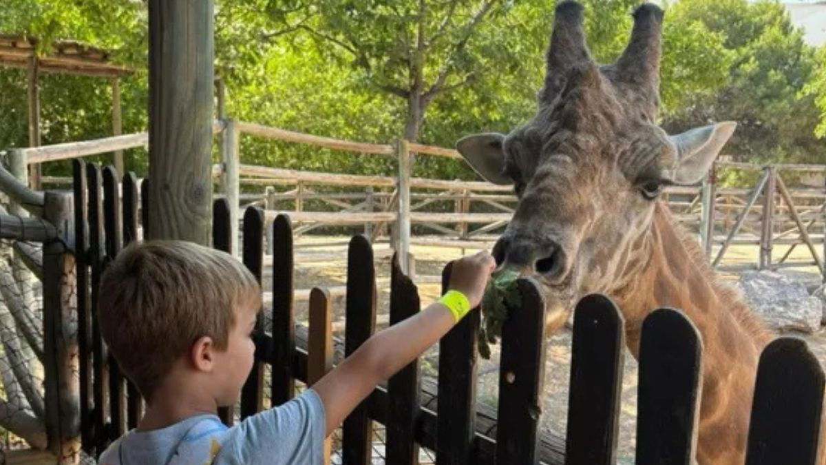 Children Invited To Experience A Wild Christmas Adventure At Terra Natura Murcia