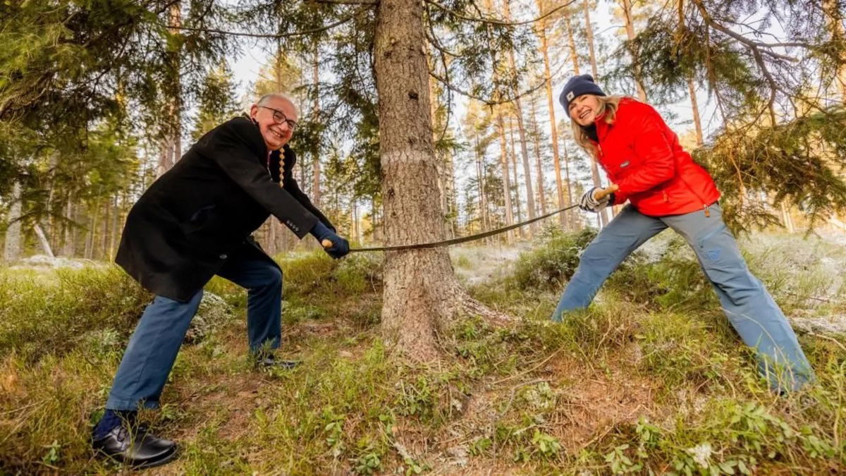 Christmas Tree Protest Delays Oslo’s Trafalgar Square Tradition
