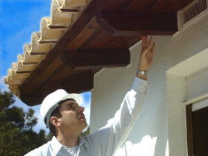 Mark Paddon, building surveyor.