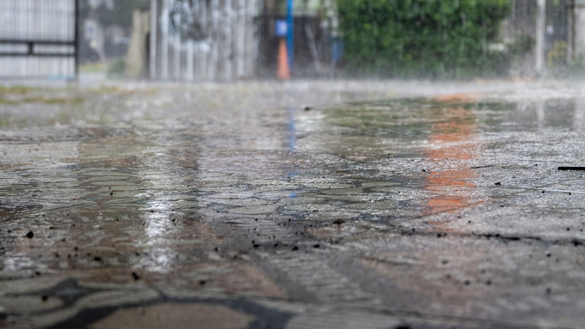 Severe Flooding Leaves Port D’andratx Art Gallery Devastated In Mallorca
