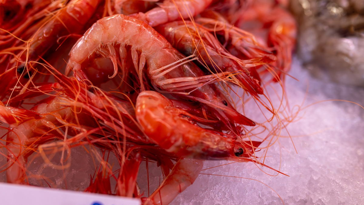 Shelling Out More This Christmas: Murcia Braces For Seafood Price Hikes