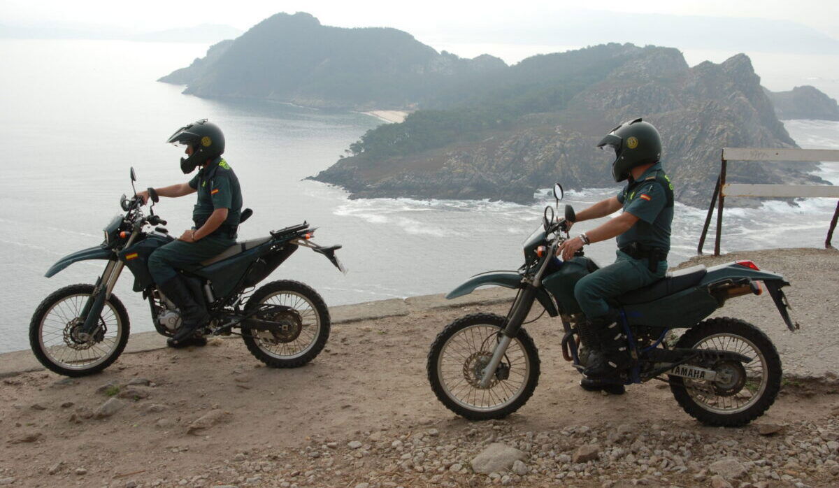 27 hunting dogs found dead in van – Seprona investigates