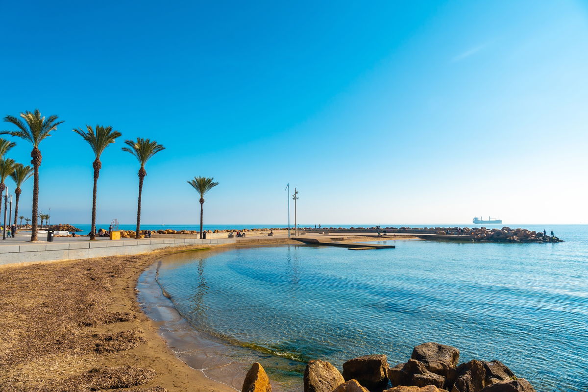 Torrevieja launches tender for Playa de Los Locos re-urbanisation