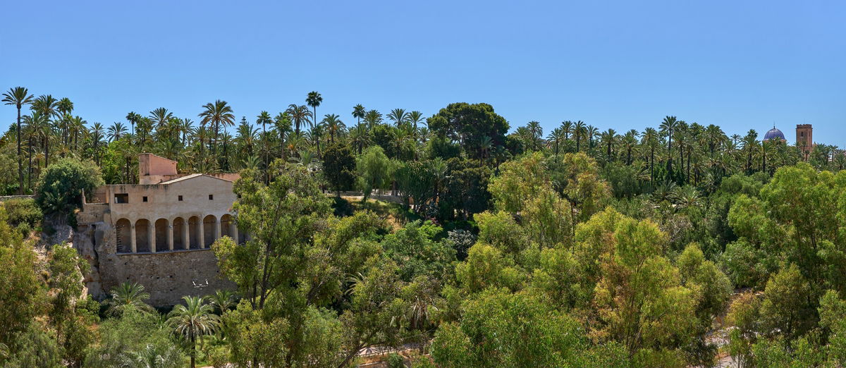 Elche Celebrates 25 Years Of Its Palmeral As Unesco World Heritage