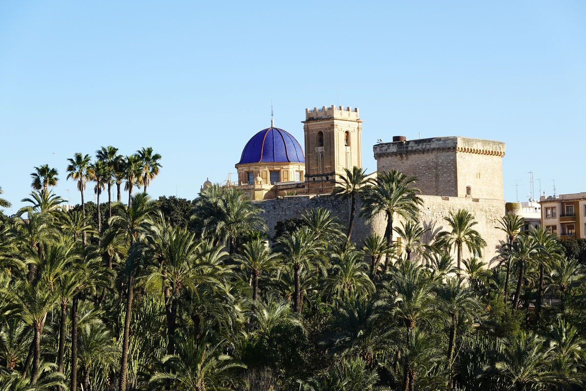 Elche Sees 2% Rise In Property Tax Aid Applications