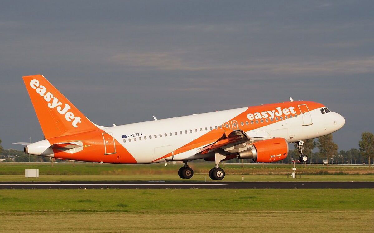 Wild boars occupy Spanish airport runway causing fights to be diverted
